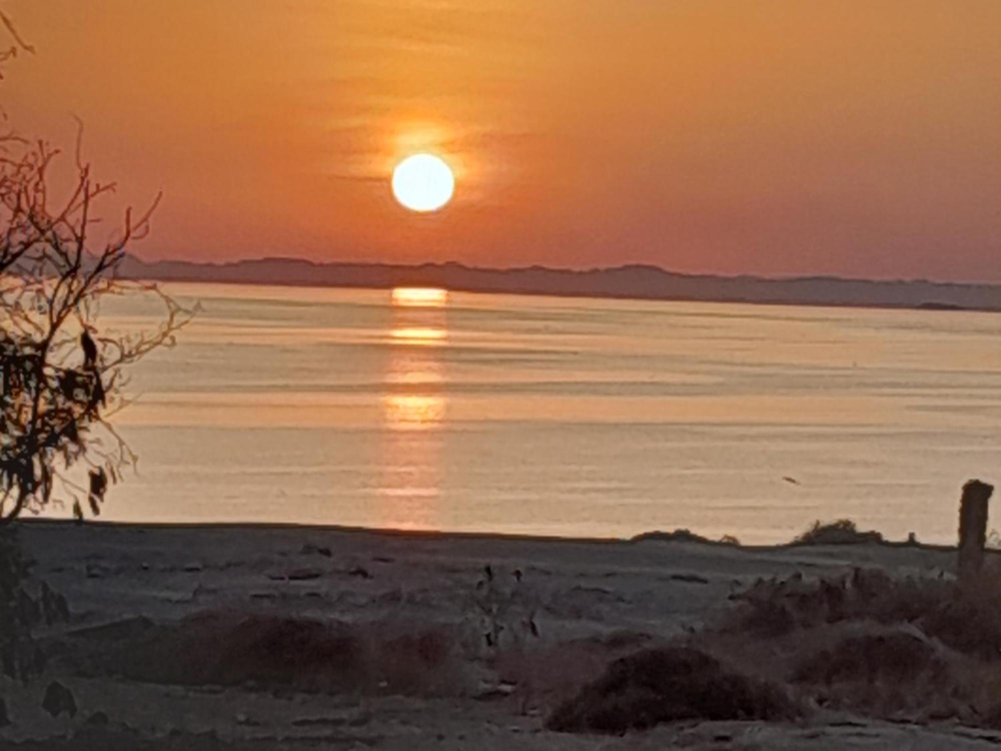 Osiris Guest House Abu Simbel Bagian luar foto